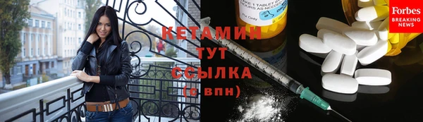 ПСИЛОЦИБИНОВЫЕ ГРИБЫ Новозыбков