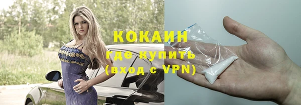 дживик Бежецк