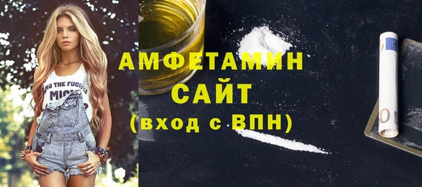 ПСИЛОЦИБИНОВЫЕ ГРИБЫ Новозыбков