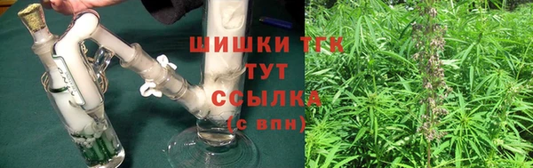 ПСИЛОЦИБИНОВЫЕ ГРИБЫ Новозыбков