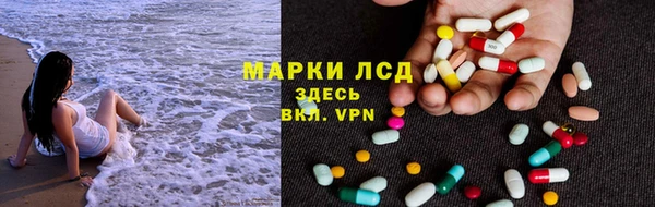 дживик Няндома