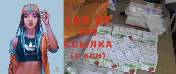 ПСИЛОЦИБИНОВЫЕ ГРИБЫ Новозыбков