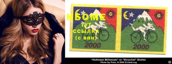ПСИЛОЦИБИНОВЫЕ ГРИБЫ Новозыбков