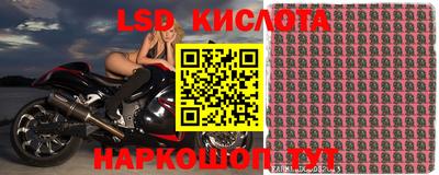 мяу мяу мука Апшеронск